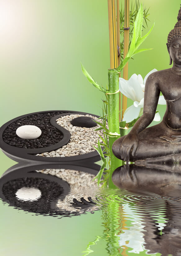 Cornelia Kara Philosophie