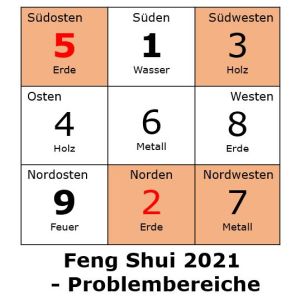 Die Fliegenden Sterne 2021 - Problembereiche