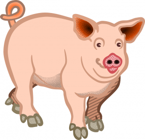Chinesisches Jahreshoroskop
